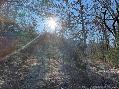 329 Bailey Blvd, Tahlequah, OK 74464 - photo 4