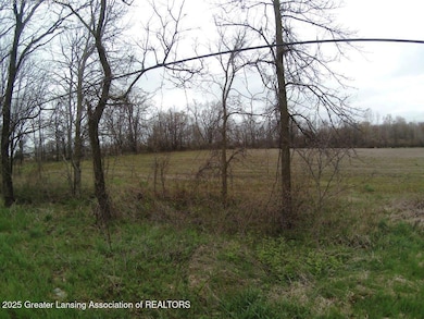 Vl Olds Rd, Leslie, MI 49251 - photo 2