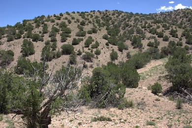 0 Tres Amigos Rd unit 1066661, Placitas, NM 87043 - photo 3