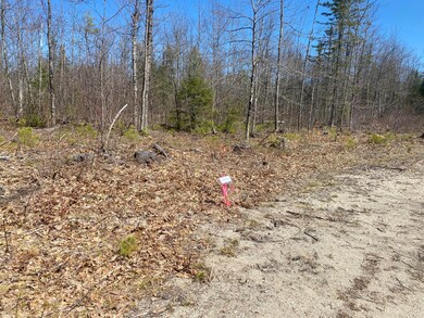 Lot 2 Sand Pond Rd, Baldwin, ME 04024 - photo 3