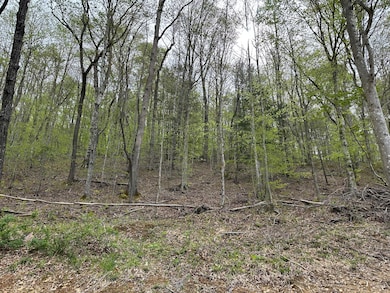 43 Deer Run Ln, Campton, KY 41301 - photo 6