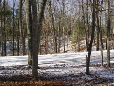 8540 Ashland Ave, Bitely, MI 49309 - photo 6