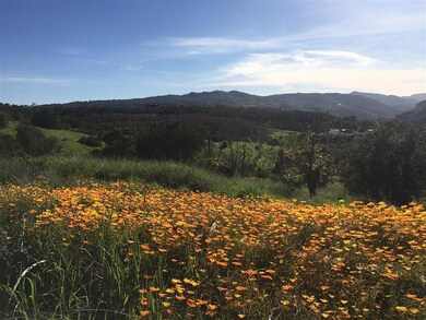 0 Paymaster Rd, Valley Center, CA 92082 - photo 5