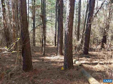 Lot 27 Guildford Farm Rd, Monroe, VA 22968 - photo 6