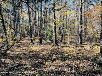 0 Route 23a unit 20254113, Hunter, NY 12442 - photo 5