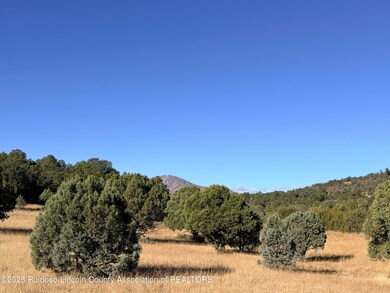 270A Saddleback Rd, Alto, NM 88312 - photo 3