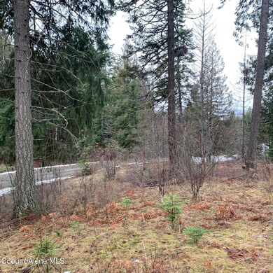 NNA F12 S Idaho Club Dr, Sandpoint, ID 83864 - photo 6