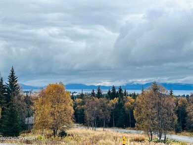IMG_3996 2