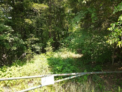 TBD Needles Way, Sevierville, TN 37876 - photo 4