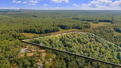 0 Old State Rd unit 1501300, Menlo, GA 30731 - photo 6