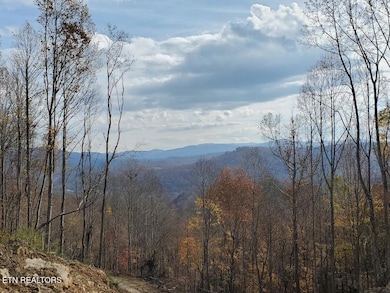 0 Bull Creek Lot H Rd, Huntsville, TN 37756 - photo 3