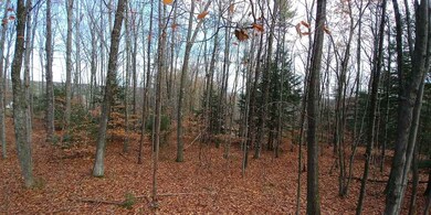 lot 93-1 Wallace unit 93-1, Goffstown, NH 03045 - photo 6