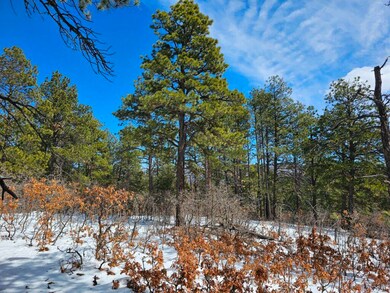 0 Gallinas Pkwy unit E17 24-248, Trinidad, CO 81082 - photo 2