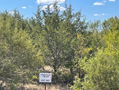 2116 Eagles Ridge Dr, Weatherford, TX 76087 - photo 6