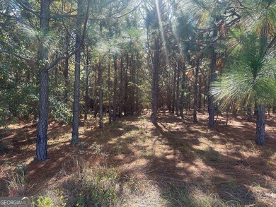 0 Tram Rd, Sylvania, GA 30467 - photo 5