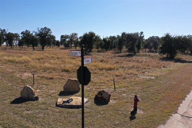 000 Ballpark Way, Jacksboro, TX 76458 - photo 3