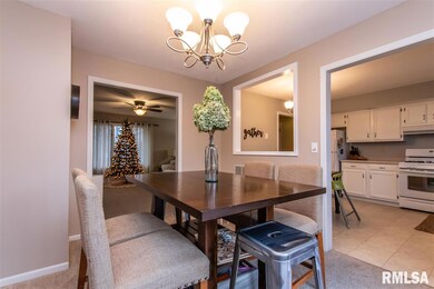 5518 N Ramblewood Ct, Peoria, IL 61615 - photo 6