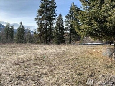 161 Twisp River Rd, Twisp, WA 98856 - photo 3