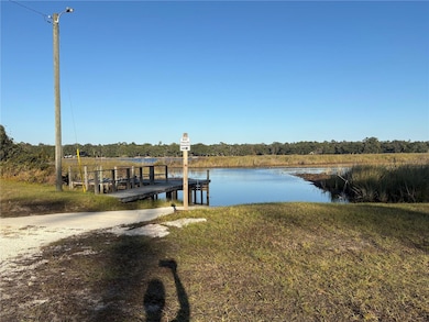 24970 NE 132nd St, Fort McCoy, FL 32134 - photo 2