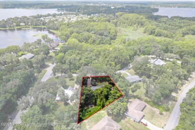 5-web-or-mls-DJI_0690_outlines