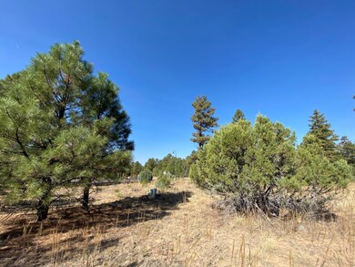 4610 W Hawthorn Rd, Show Low, AZ 85901 - photo 5