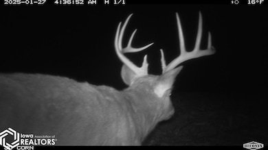 0 183rd Ave, Cincinnati, IA 52549 - photo 6