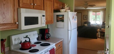 407 Eastown Dr, Wapakoneta, OH 45895 - photo 7