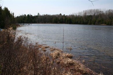 Black River and Shoreline