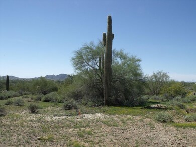 DSCF4966.JPG