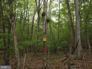 OFF RT. 8 Reeds Creek Rd, Franklin, WV 26807 - photo 7