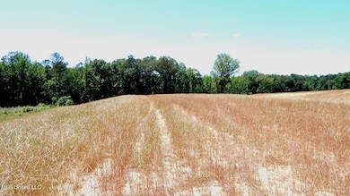 206 Hugh White State Park Rd, Grenada, MS 38901 - photo 3