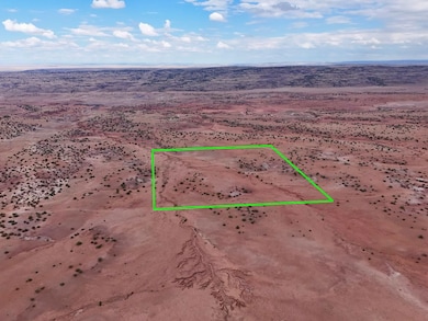 Tbd N5333, Concho, AZ 85924 - photo 3