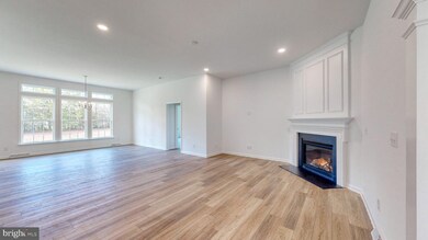 4 Pleasant View Ct, Millsboro, DE 19966 - photo 6