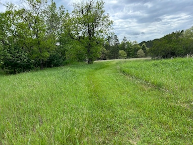 V/L W 1 Mile Rd, White Cloud, MI 49349 - photo 5