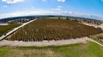 0 Sycamore St unit 225146116, Delhi, CA 95334 - photo 3