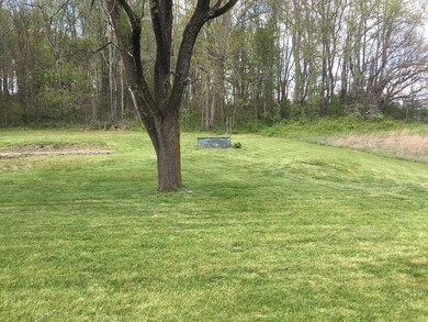 3331 Highway 81, Fall Branch, TN 37656 - photo 3