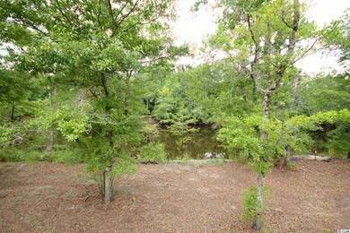 116 Lure Ct unit Homesite 5, Conway, SC 29526 - photo 7