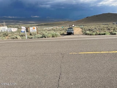 4249 Nevada 208, Smith Valley, NV 89444 - photo 6
