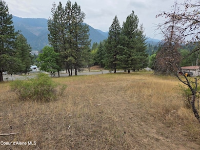 Lot 2B Upper Dr, Osburn, ID 83849 - photo 3
