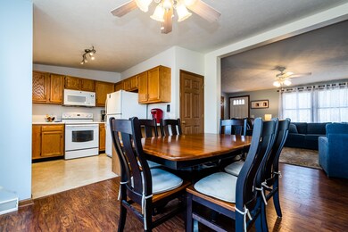 Basswood-107