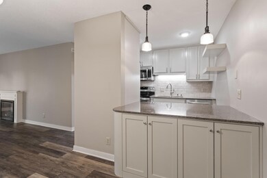 35 Nathan Ln N unit 210, Plymouth, MN 55441 - photo 4