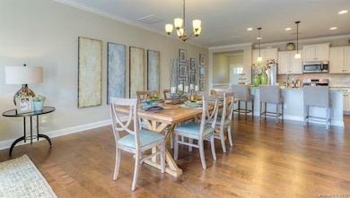 REPRESENTATIVE PHOTO