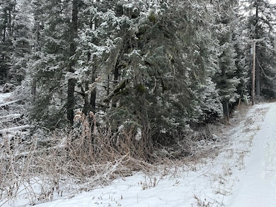 Roadside