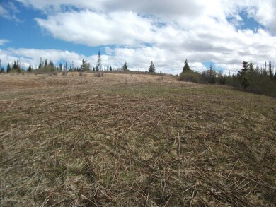 More Hayfield