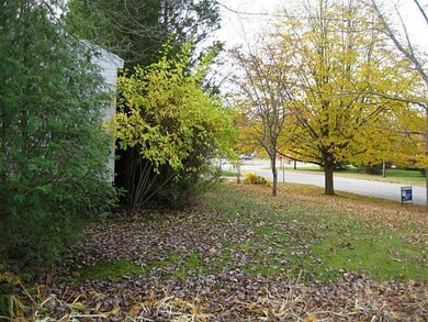 Yard/Garden.
