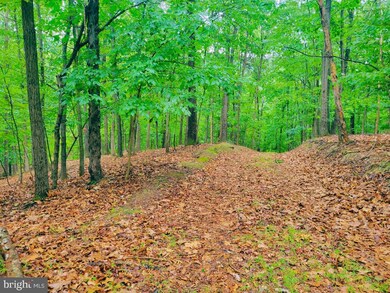 0 Dark Hollow Ct, Gerrardstown, WV 25420 - photo 2