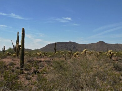 Land Photo #6