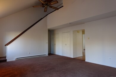 250 Willow Springs, New Milford, CT 06776 - photo 5