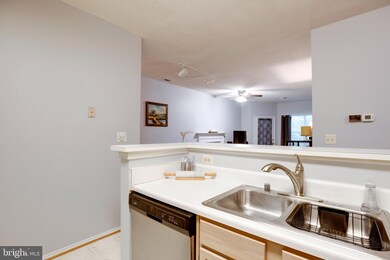 13089 Autumn Woods Way unit 101, Fairfax, VA 22033 - photo 7