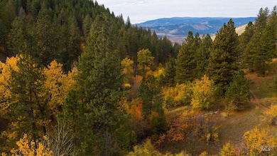 TBD Ranch, Council, ID 83612 - photo 6